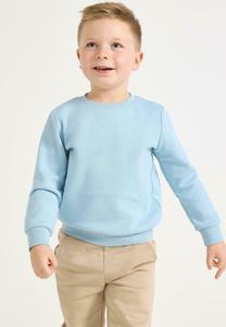 Толстовка Lindex WITH BRUSHED INSIDE, Light Blue