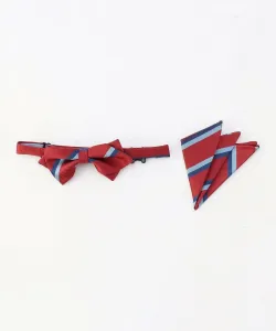 Комплект из галстука-бабочки и шарфа с полковыми полосами.