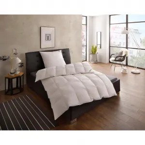 Перья Пуховое одеяло Franzisk, одеяла для лета или зимы, одеяло обычное наполнение 100% гусиный пух 1 шт. размер одеяла 135x200, подходит для аллергиков (для людей с аллергией на домашнюю пыль) Fjödur, белый