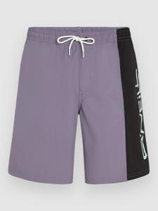 Пляжные шорты O'Neill Retro 19″ Boardshorts, storm colour block