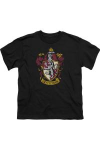 Футболка с коротким рукавом для детей с гербом Гриффиндора Harry Potter Gildan, черный
