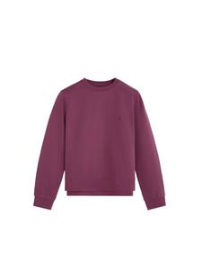 Толстовка Scalpers, бургундия