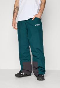 Лыжные брюки Adidas Terrex PANT, Aurora Ivy/Dark Green