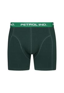Трусы 2 PACK Petrol Industries, зеленый