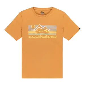 Детская футболка Ev Light Waves Quiksilver, коричневый