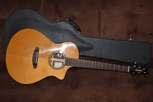 Breedlove Thinline Performer Pro Concert 2024 - высокая глянцевая отделка