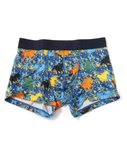 HOM/HOM ASIA HO1 Боксеры с принтом