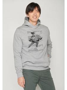 Толстовка Animal Sloth Flying в цвете Heather Grey GreenBomb