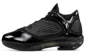 Мужские баскетбольные кроссовки Jordan Air Jordan 2009 винтажные