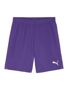 Обычные спортивные штаны PUMA TeamGoal, темно-фиолетовый