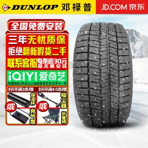Зимние противоскользящие шины Dunlop WM03 225/40R18 92S