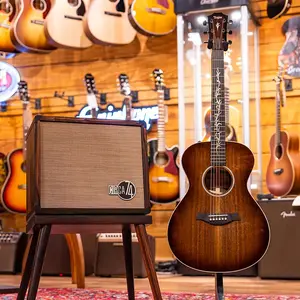 Акустическая электро-гитара Taylor NAMM 2023 Custom #25 C22e B3025 с комбинированным усилителем Circa '74 AV150-10 для акустических гитар