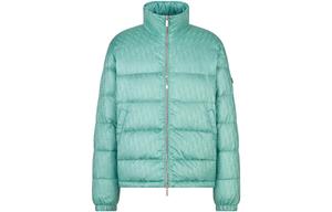 Пуховик мужской зеленый Dior, зеленый