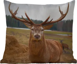 Подушка для улицы - Красный олень - Природа - Луг - 60 x 60 см - Устойчива к погодным условиям - Подушка для отдыха - Декоративная - Подушка для сна MuchoWow