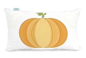 Чехол на подушку из тыквы Mr. Fox, мультколор