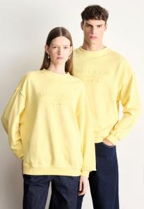 Толстовка Tommy Jeans 90S NEW CLASSICS CREW UNISEX, Citronella/Yellow
