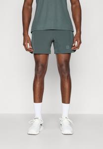 Спортивные шорты Björn Borg SHORT SHORTS, Urban Chic/Mottled Teal