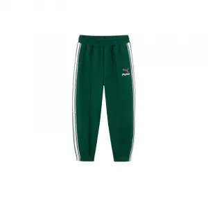 Спортивные штаны Sportstyle Series из трикотажной ткани для детей PUMA, темно-зеленый