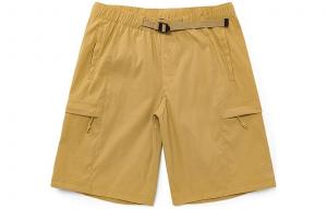 THE NORTH FACE Мужские повседневные шорты, цвет Brown