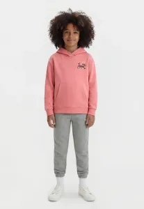 Худи с графическим принтом, унисекс худи Puma, Wild Pink