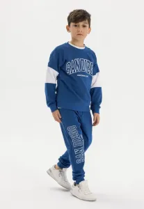 Спортивный костюм, состоящий из футболки с круглым вырезом и спортивных брюк. Minoti, Royal