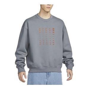 Свитера sb свитшот для скейтборда Nike, серый