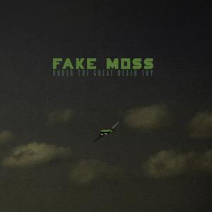 CD диск Fake Moss: Under the Great Black Sky
