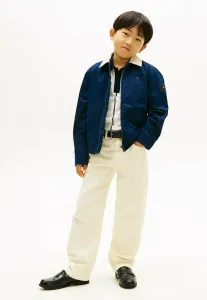 Джинсы свободного кроя с вышивкой флага Tommy Hilfiger, Ecru