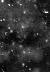 CD диск Paysage D'Hiver: Einsamkeit