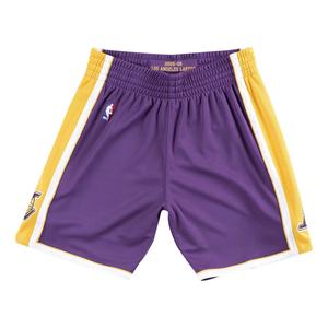 Спортивные шорты Mitchell & Ness NBA Authentic Shorts Los Angeles Lakers Road 2008-09 'Purple Yellow', фиолетовый
