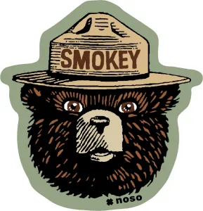 Винтажная нашивка Смоки Бэра Noso, Green/Brown