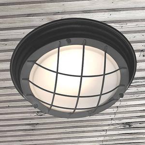 Потолочный светильник Steinhauer Lisanne Typ C, алюминий - черный - 1 пламя