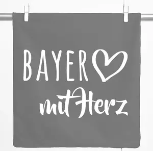 Декоративная наволочка Huuraa Bayer с сердечком, подарочная, 40x40 см, стальной серый хлопок, украшение Bayer Hellweg Druckerei