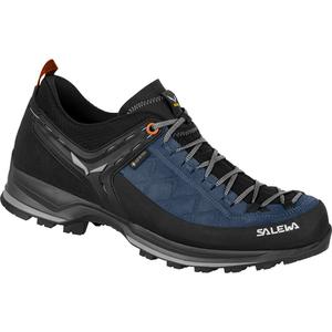 Мужские кроссовки MTN Trainer 2 GTX Salewa, синий