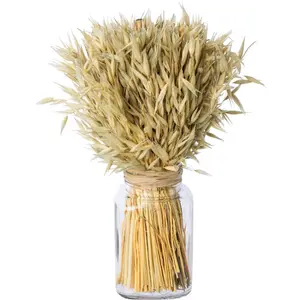 Креатив для дома из сухоцветов «Композиция из сухоцветов в стакане» Creativ Home, цвет creme