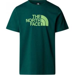 Футболка с принтом логотипа THE NORTH FACE, зеленый