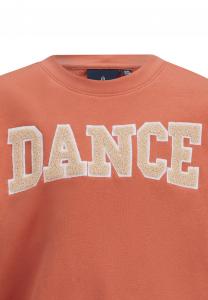 Толстовка WENDE Retour Jeans, коричневый