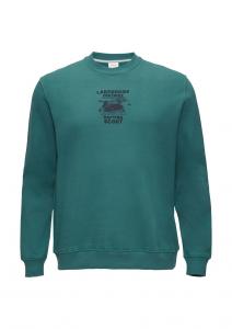 Толстовка s.Oliver Red Label Big & Tall, цвет Jade