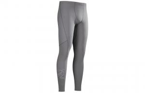 Штаны спортивные Arcteryx мужские, серый