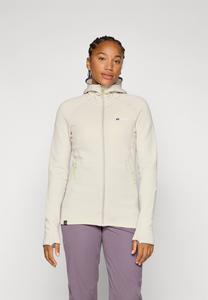 Толстовка Berghaus KINETIC HOODY, Stone