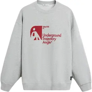 Свитер мужской с принтом зебры серый ZARA