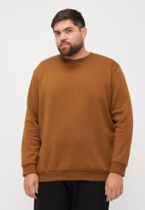 Толстовка Jack & Jones JJEBRADLEY CREW , Monks Robe/Brown