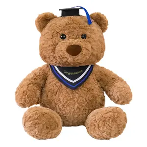 Доктор Медведь, бакалаврская мантия кукла плюшевая игрушка 25см/35см/50см высота JIZHUAN
