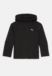 Худи Puma EVOSTRIPE FULL ZIP HOODIE UNISEX, Black