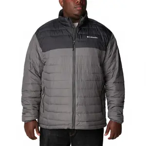 Куртка Columbia Powder Lite II Plus Size, серый