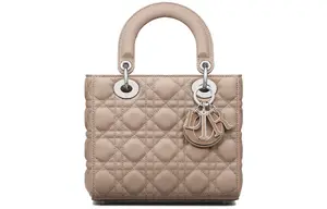 DIOR Женская кожаная дамская сумка через плечо кросс-боди маленькая сумка лесной орех