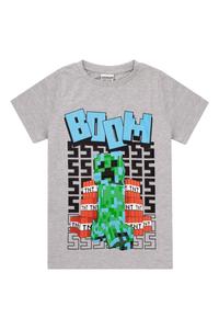 Игровая футболка для мальчиков Vanilla Underground, серый