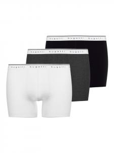 Боксеры Bugatti