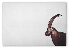 Картина на холсте A.S. Création Capricorn Snow цвет graubraunschwarz