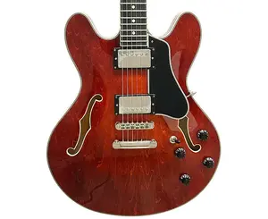 Электрогитара Eastman T386 с полузакрытым корпусом в классическом оформлении с чехлом